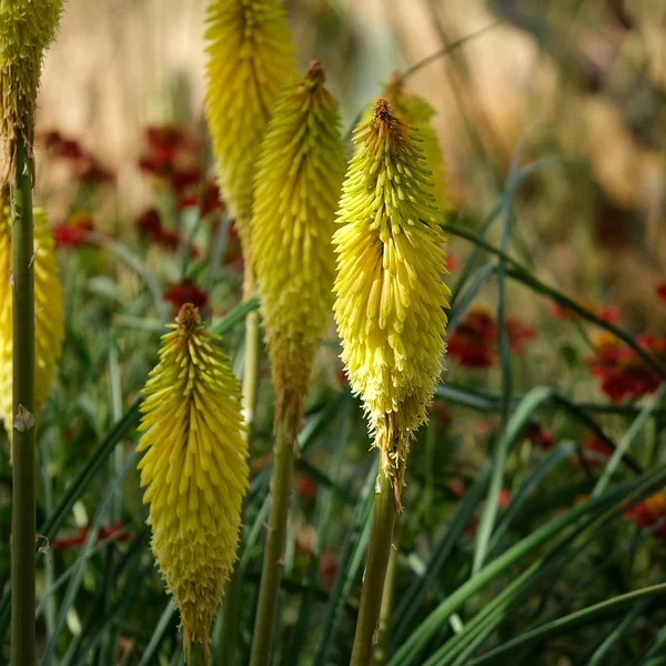 问鼎娱乐百家乐游戏